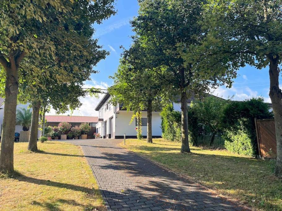 Apartment 100 Qm Im Weindorf - Balkon/Garage Aspisheim Eksteriør bilde